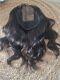 14inch 6x6 Silkbase Topper Wiglet Raw Brazilian Virgin Hair For Hair Loss 12a 1b