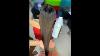 Hair Transformation Using Purc Pure Keratin Treatment