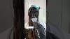 Smoothing Hair Transformation Using Pure Brazilian Keratin Treatment Fyp Blowout Hairtutorial