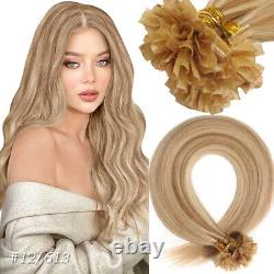 Extensions de Cheveux Humains 100% Remy Prémélangées en Kératine U Tip AAA+ 1G/S 0.5G/S
